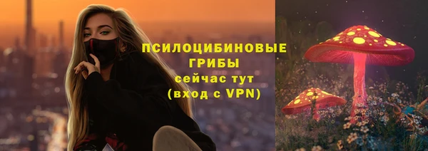 ПСИЛОЦИБИНОВЫЕ ГРИБЫ Баксан