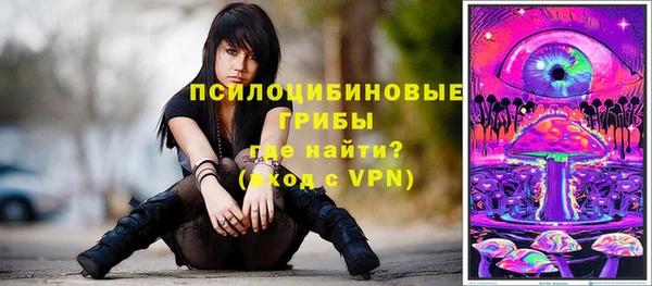 ПСИЛОЦИБИНОВЫЕ ГРИБЫ Баксан