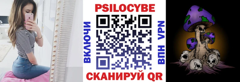 Галлюциногенные грибы Psilocybe  цены   Новый Оскол 
